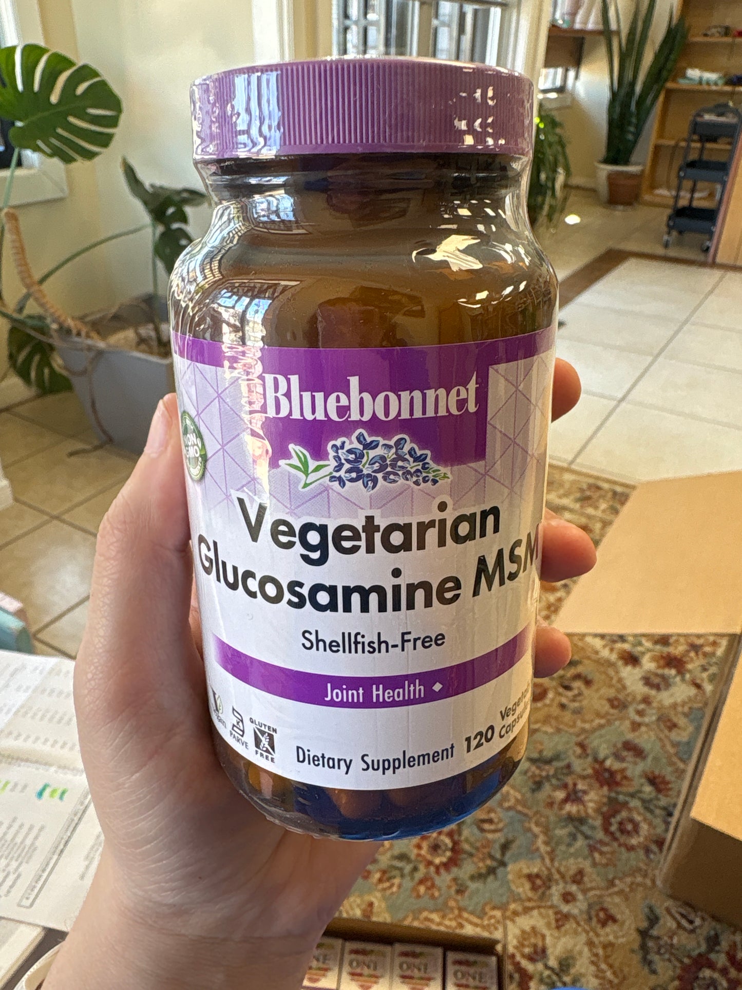Vegetarian Glucosamine MSM 120ct