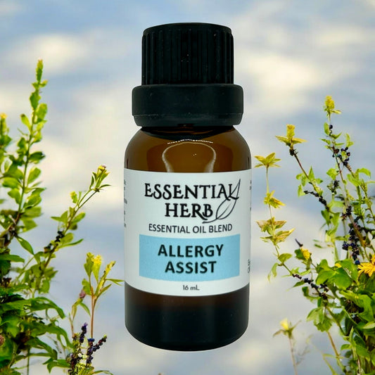 Allergy Assist Essential Oil Blend - Essential Herb