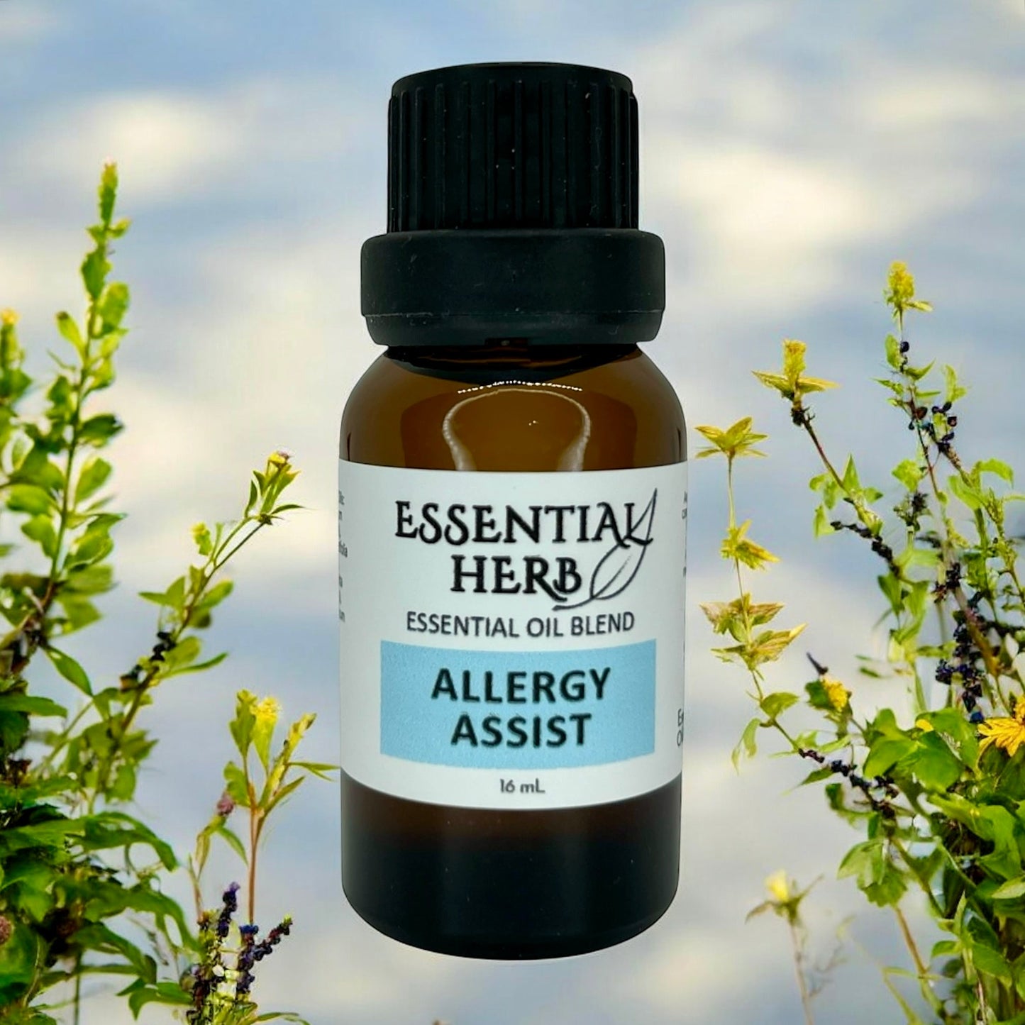 Allergy Assist Essential Oil Blend - Essential Herb