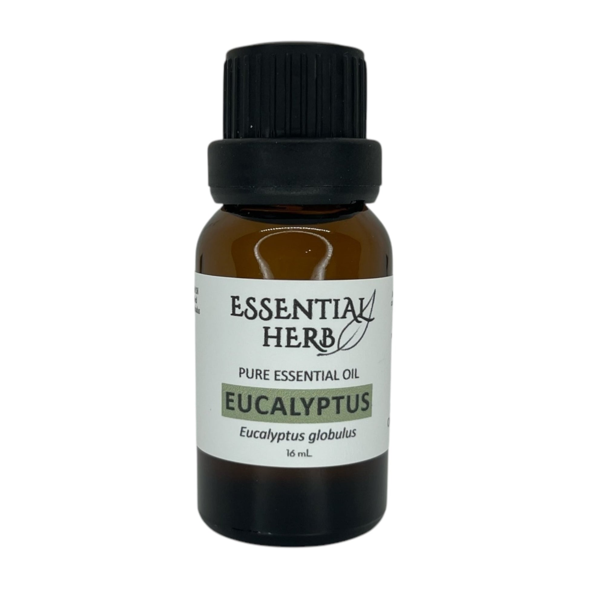 Eucalyptus Essential Oil - Essential Herb