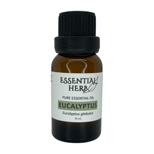 Eucalyptus Essential Oil - Essential Herb