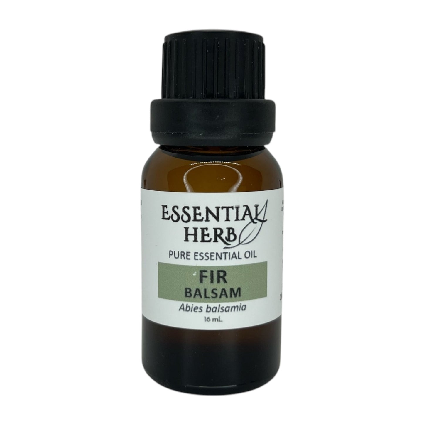 Fir Needle (Balsam Fir) Essential Oil - Essential Herb