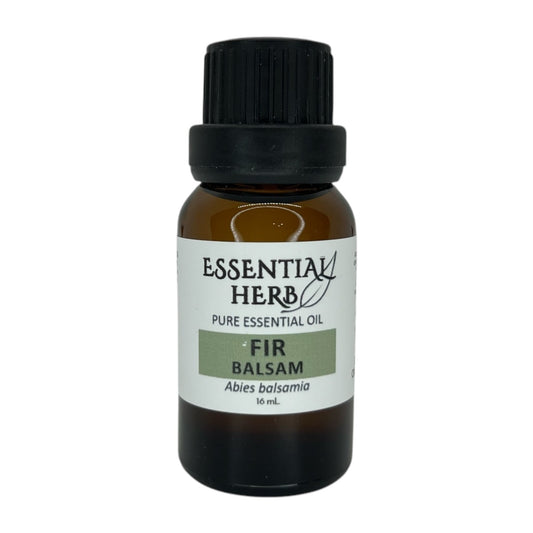 Fir Needle (Balsam Fir) Essential Oil - Essential Herb