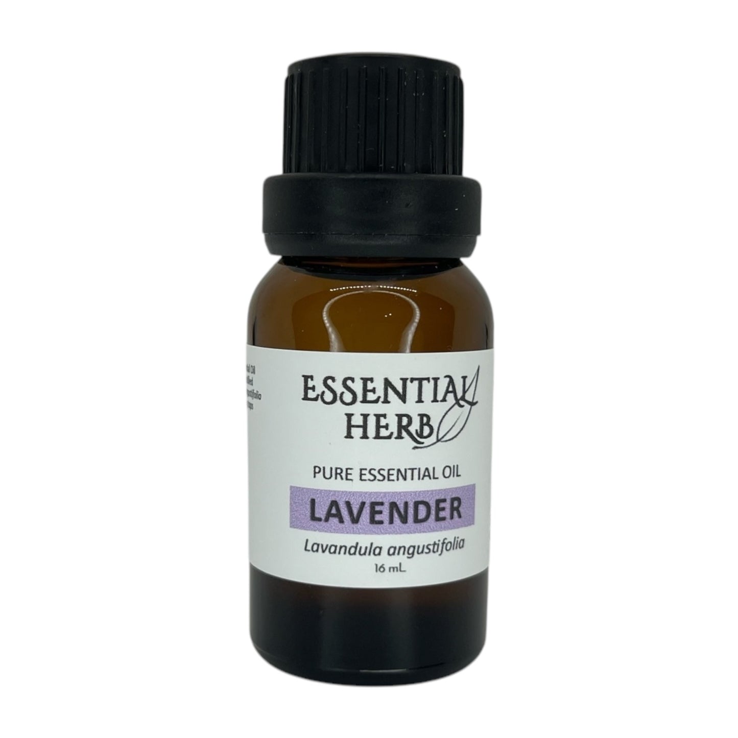 Lavender Essential Oil - Essential Herb