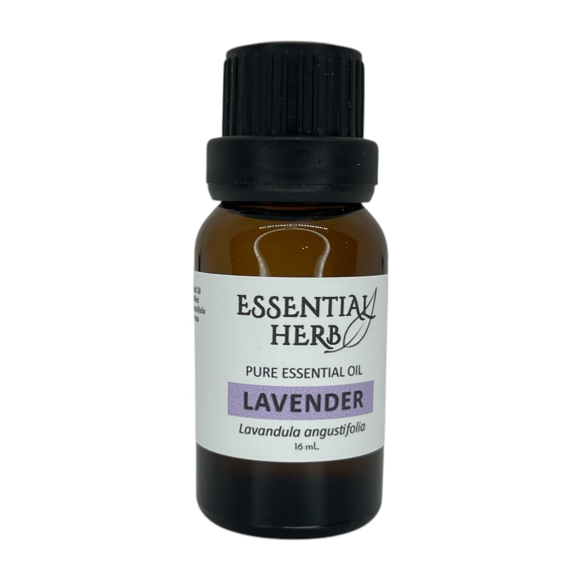 Lavender Essential Oil - Essential Herb