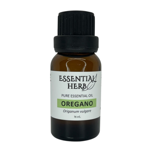 Oregano Essential Oil - Essential Herb