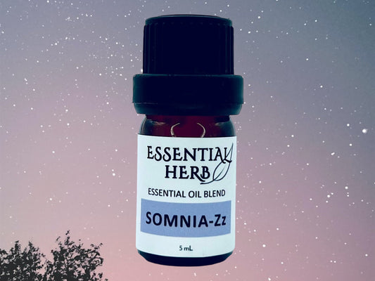 SomniaZz Sleep Essential Oil Blend - Essential Herb