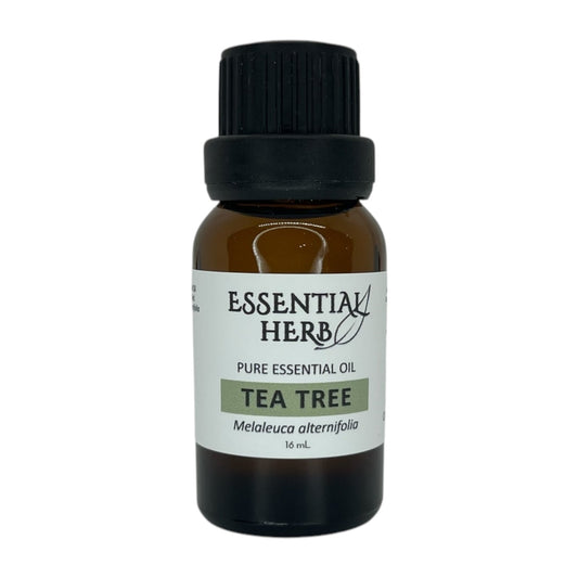 Tea Tree Essential Oil - Essential Herb
